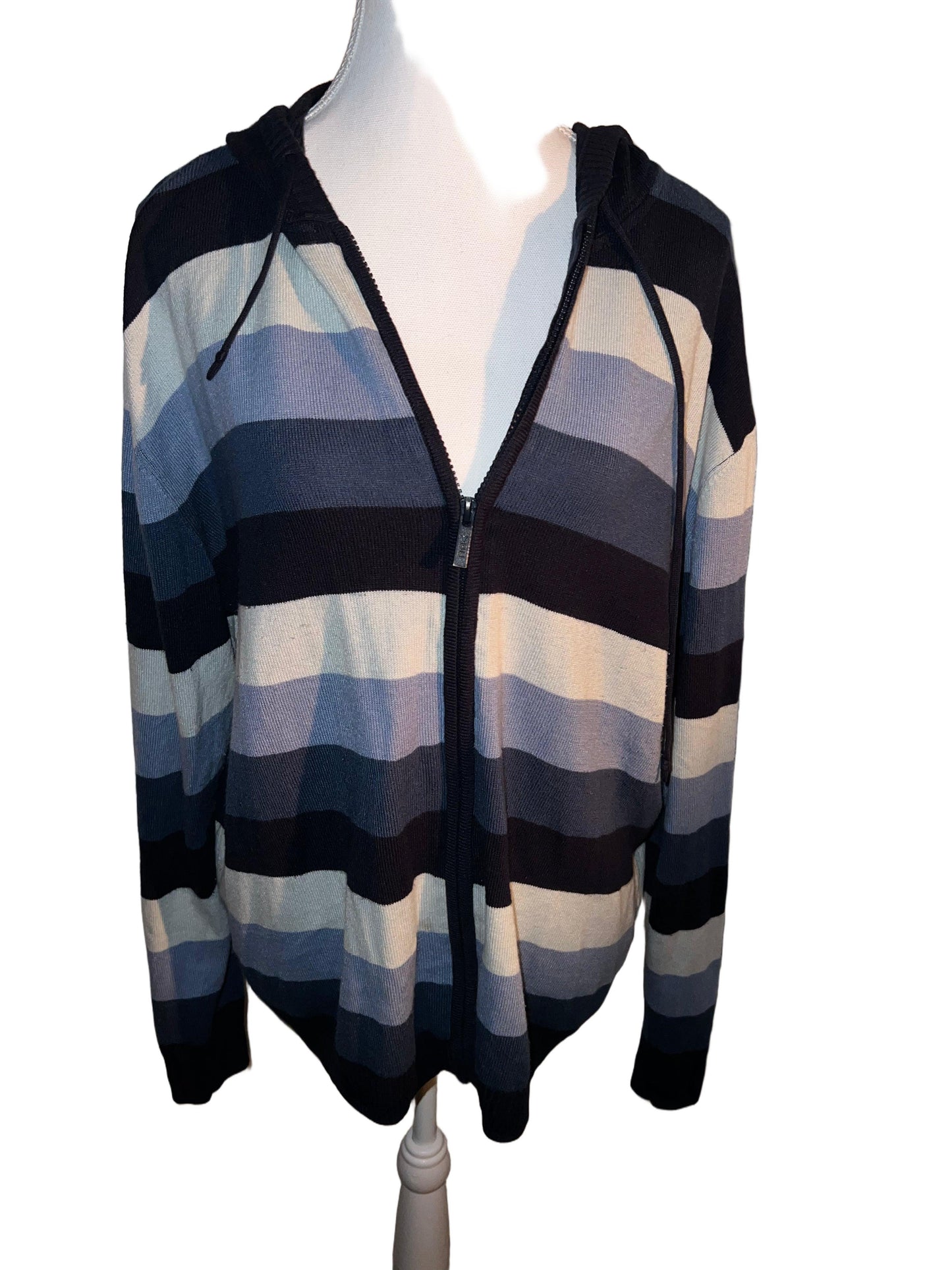 Blue Striped Hoodie