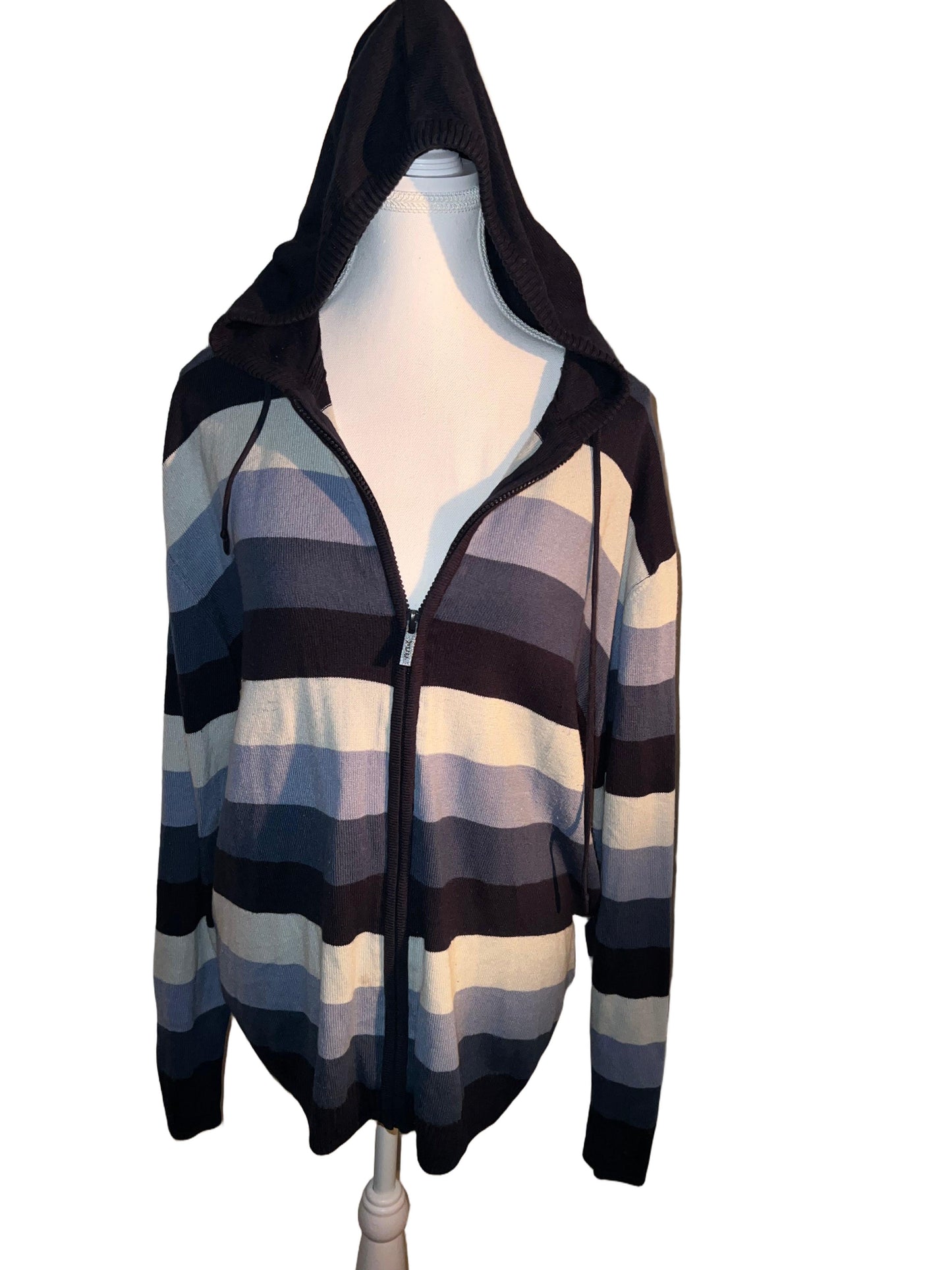 Blue Striped Hoodie
