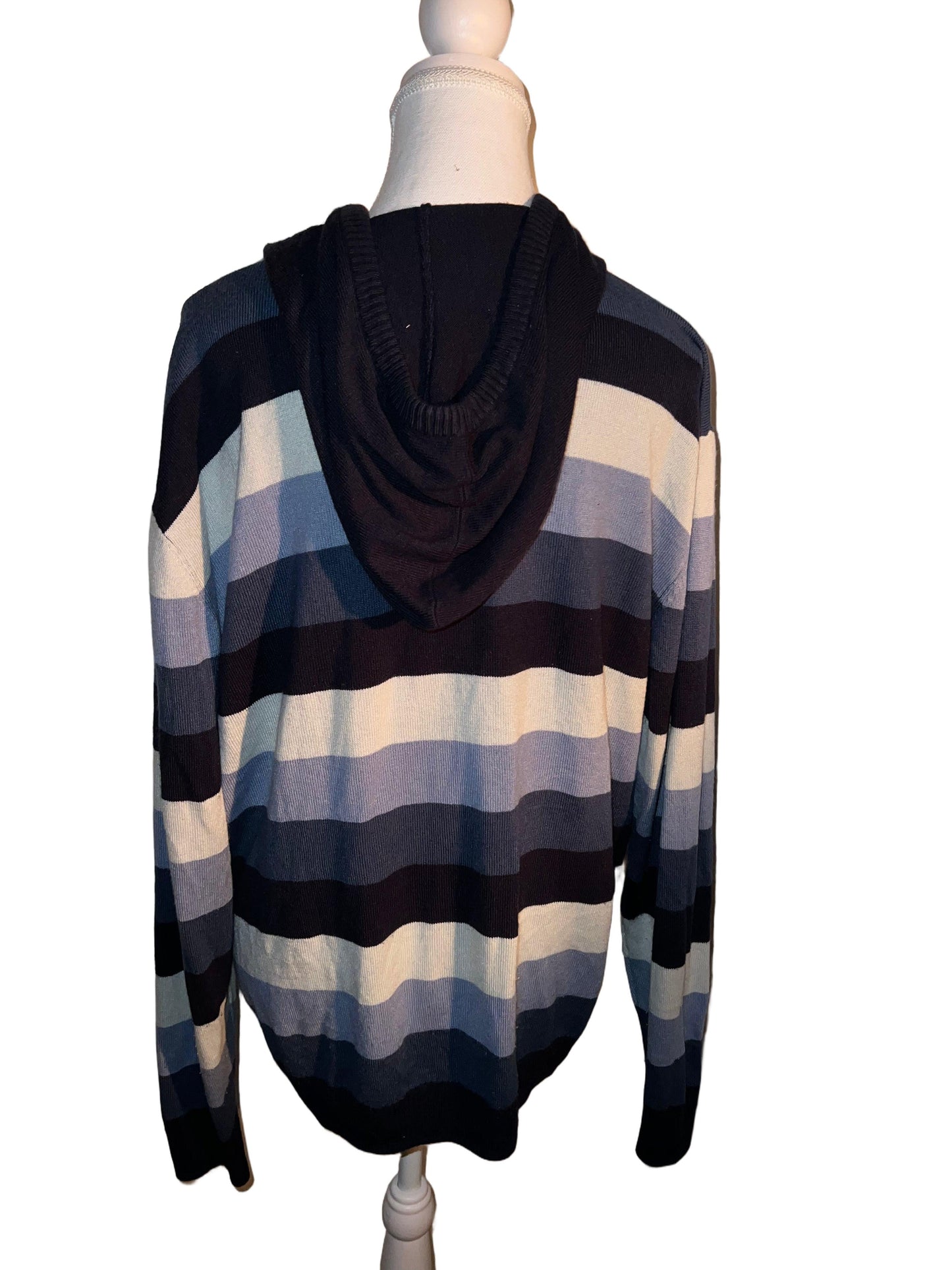 Blue Striped Hoodie